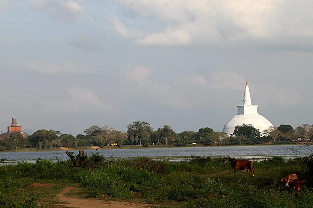 Hotel Flamingo Anuradhapura Exteriör bild